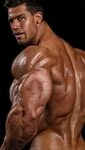 Bodybuilder (con imágenes) Hombres guapos, Hombres, Cuerpo